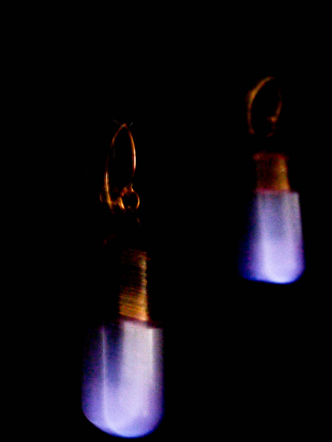 _1060954.jpg