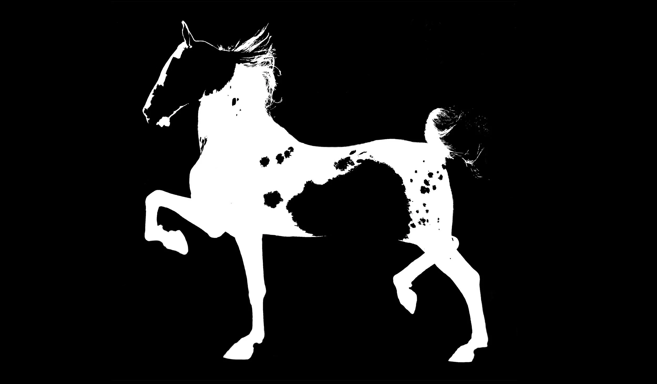 harley vector card size.jpg