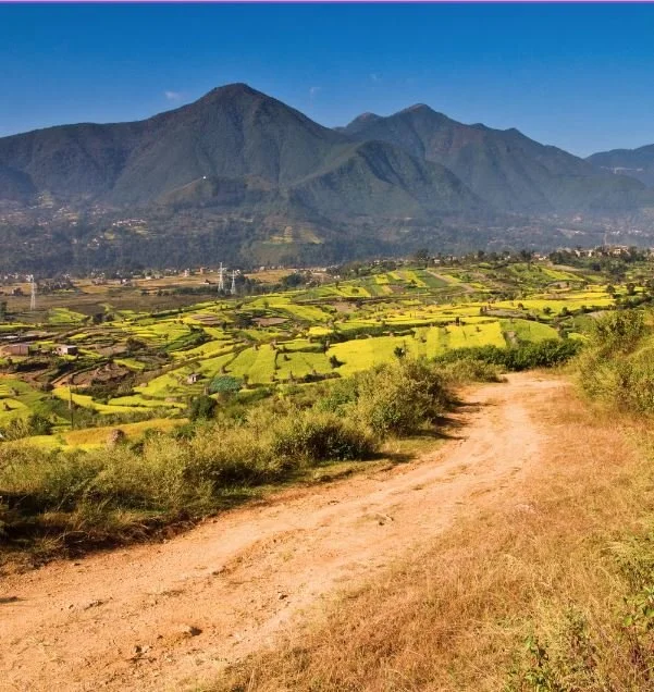 The Terrain Is Everything