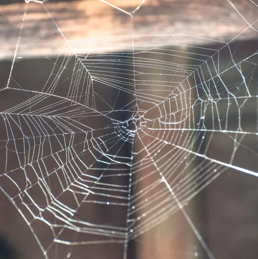 Are You Still Swiping Cobwebs?