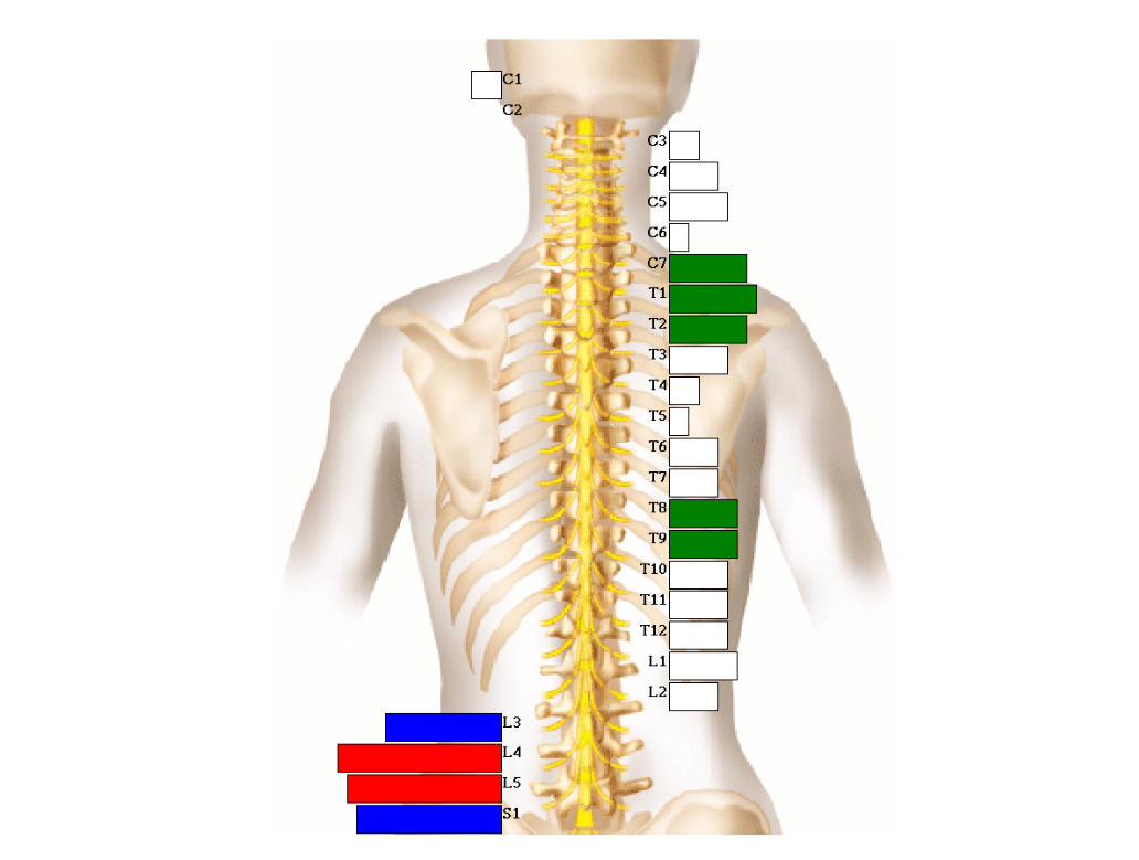 Kelly's Progress Scan at Crossroads Chiropractic Nashville