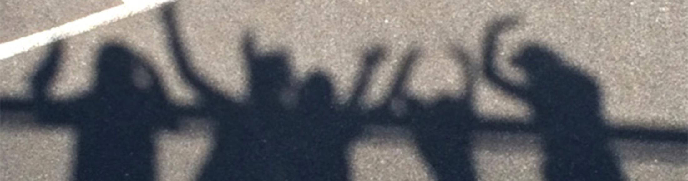 banner-gallery-1.png
