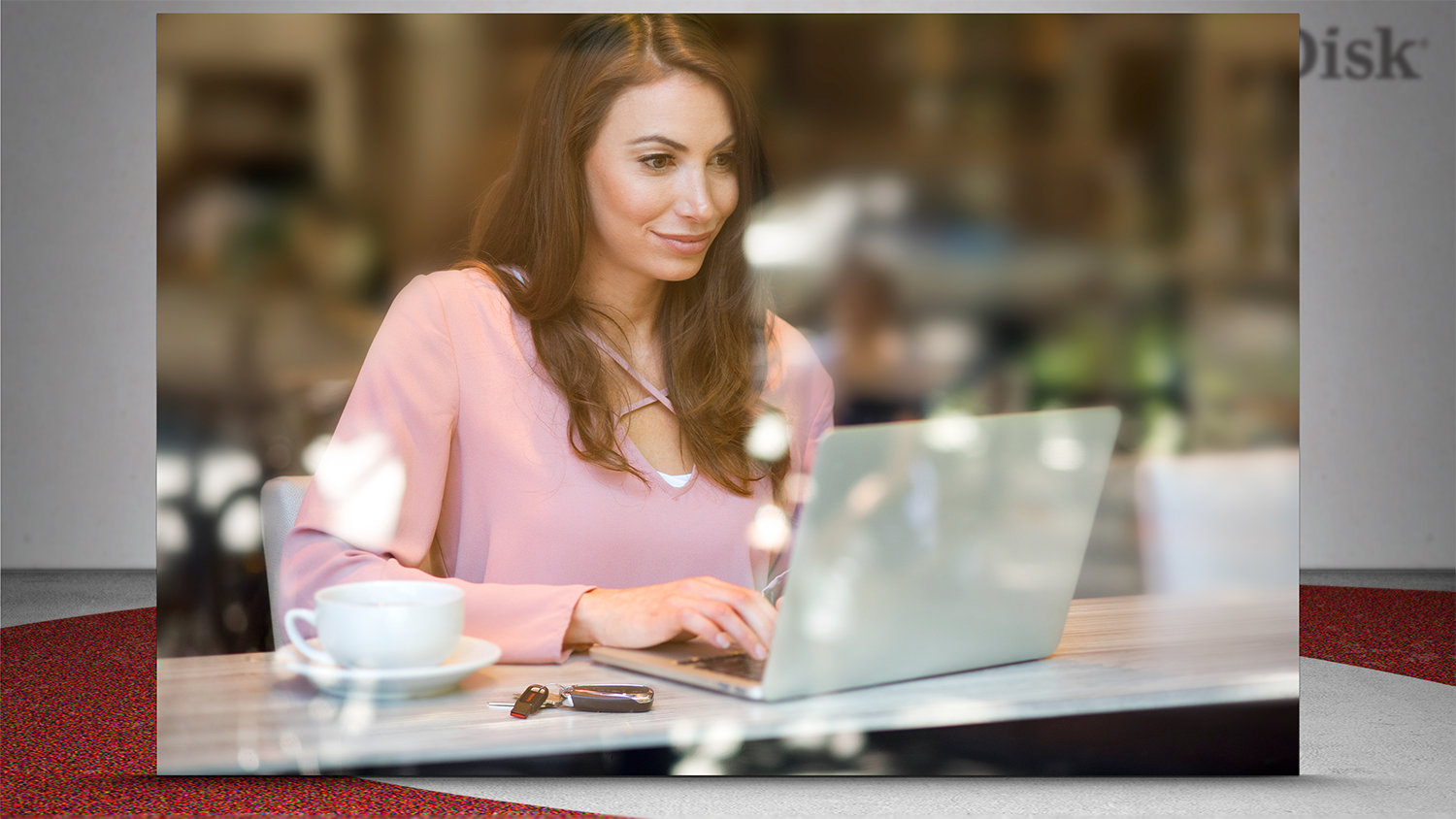 SD showcase-photo-03.png