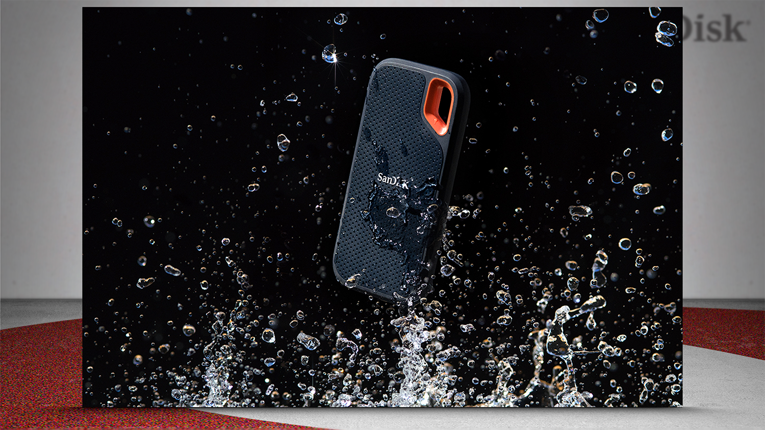 SD showcase-photo-16.png