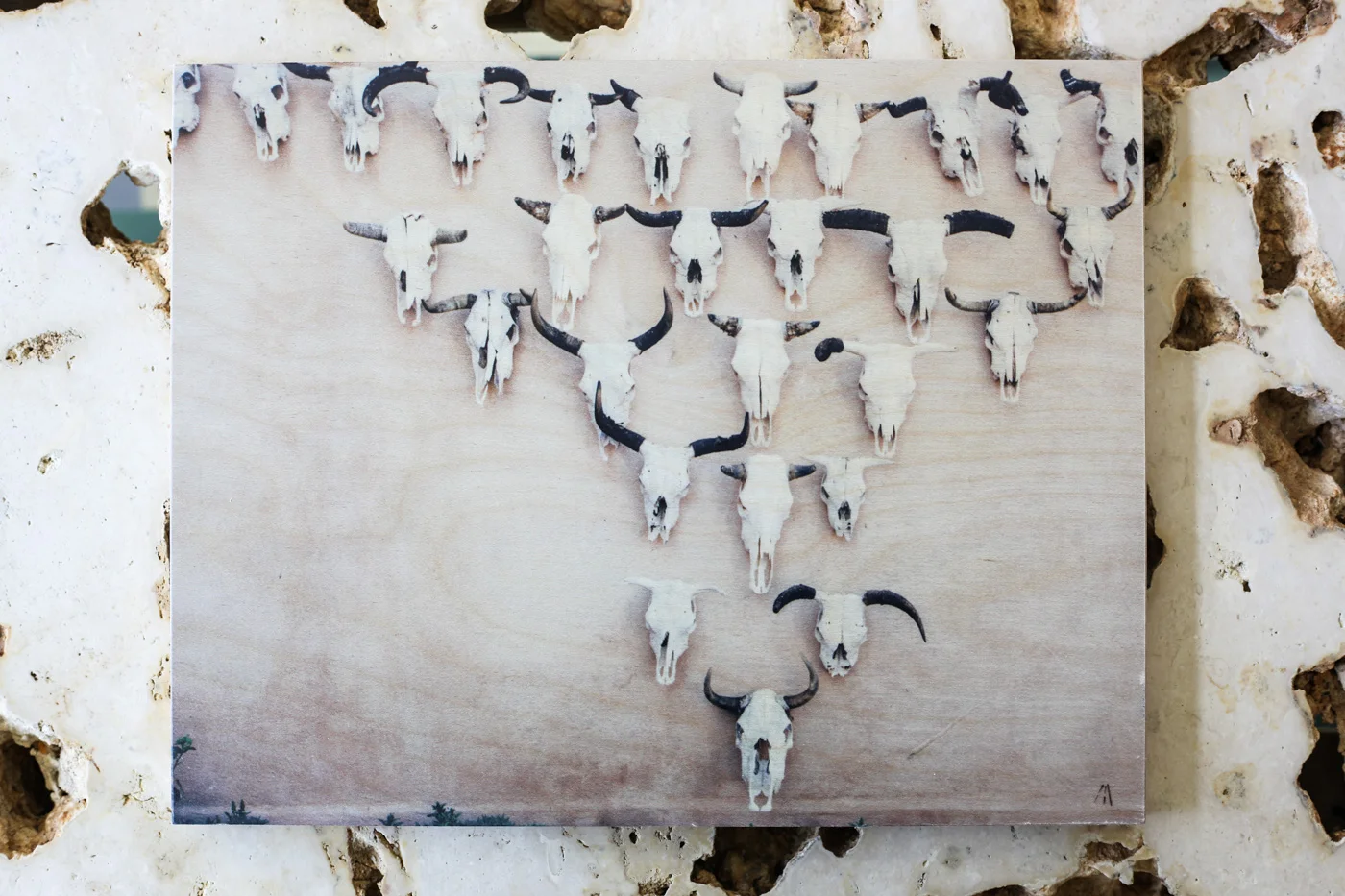 11x14_skulls_USA-1.jpg