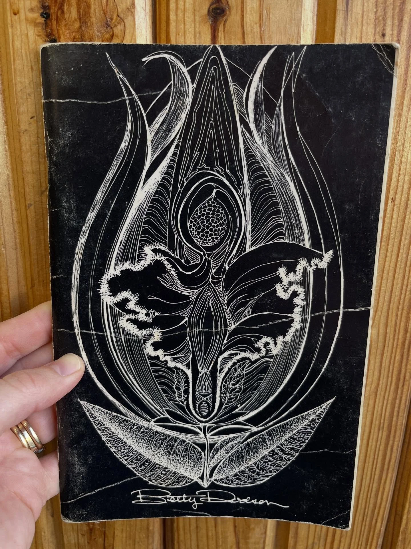 Dedicated to the women. 60 page informational pamphlet with beautiful illustrations throughout. 🙌 Call or come by to purchase. $35.