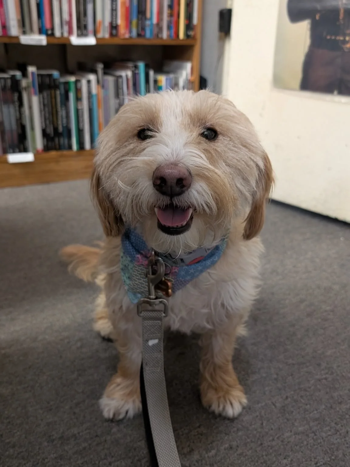 Have y&rsquo;all met Martha Birde?