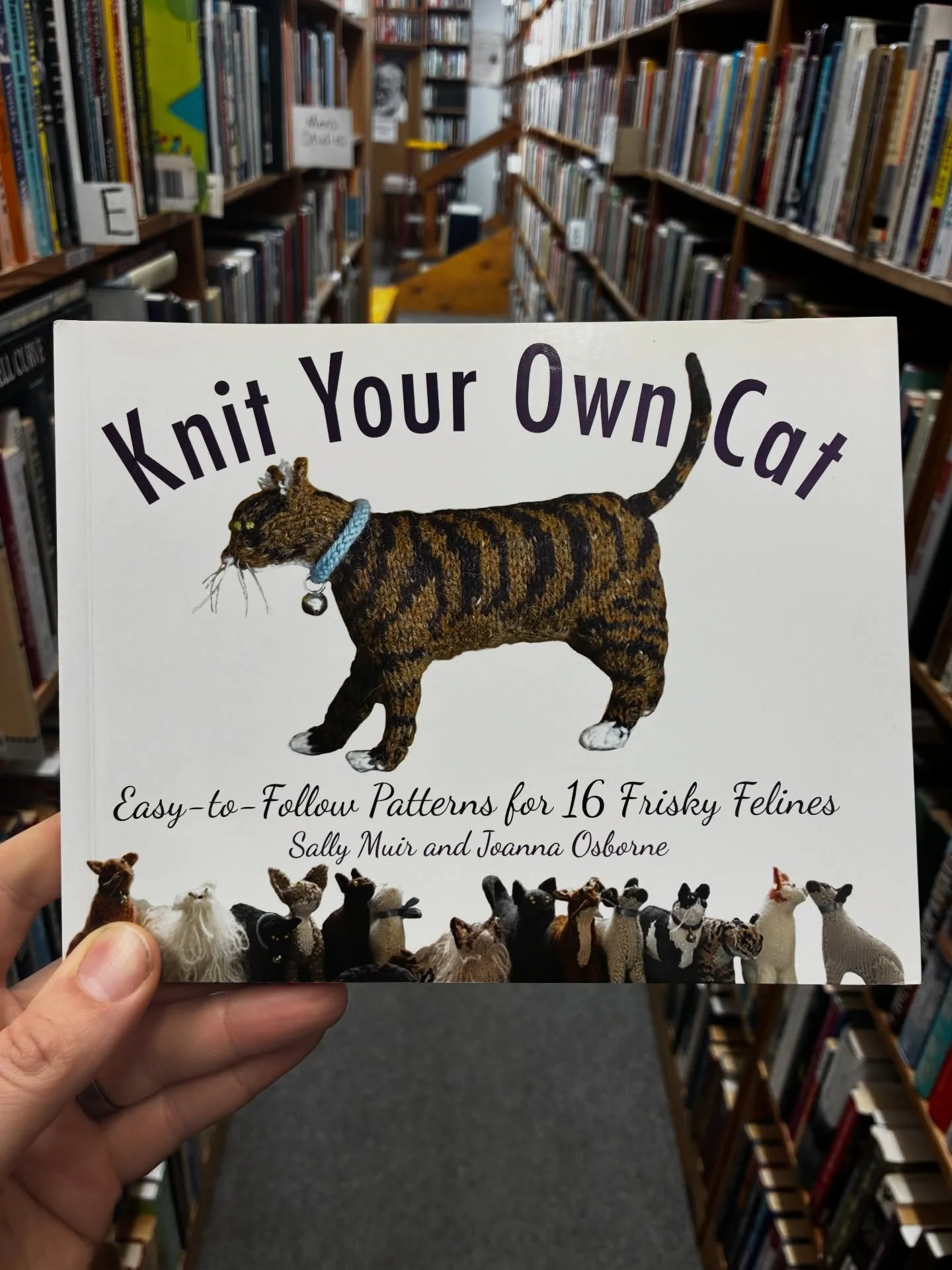 Tired of waiting for a cat to adopt you? You can always knit your own! $8 paperback on the new arrivals table