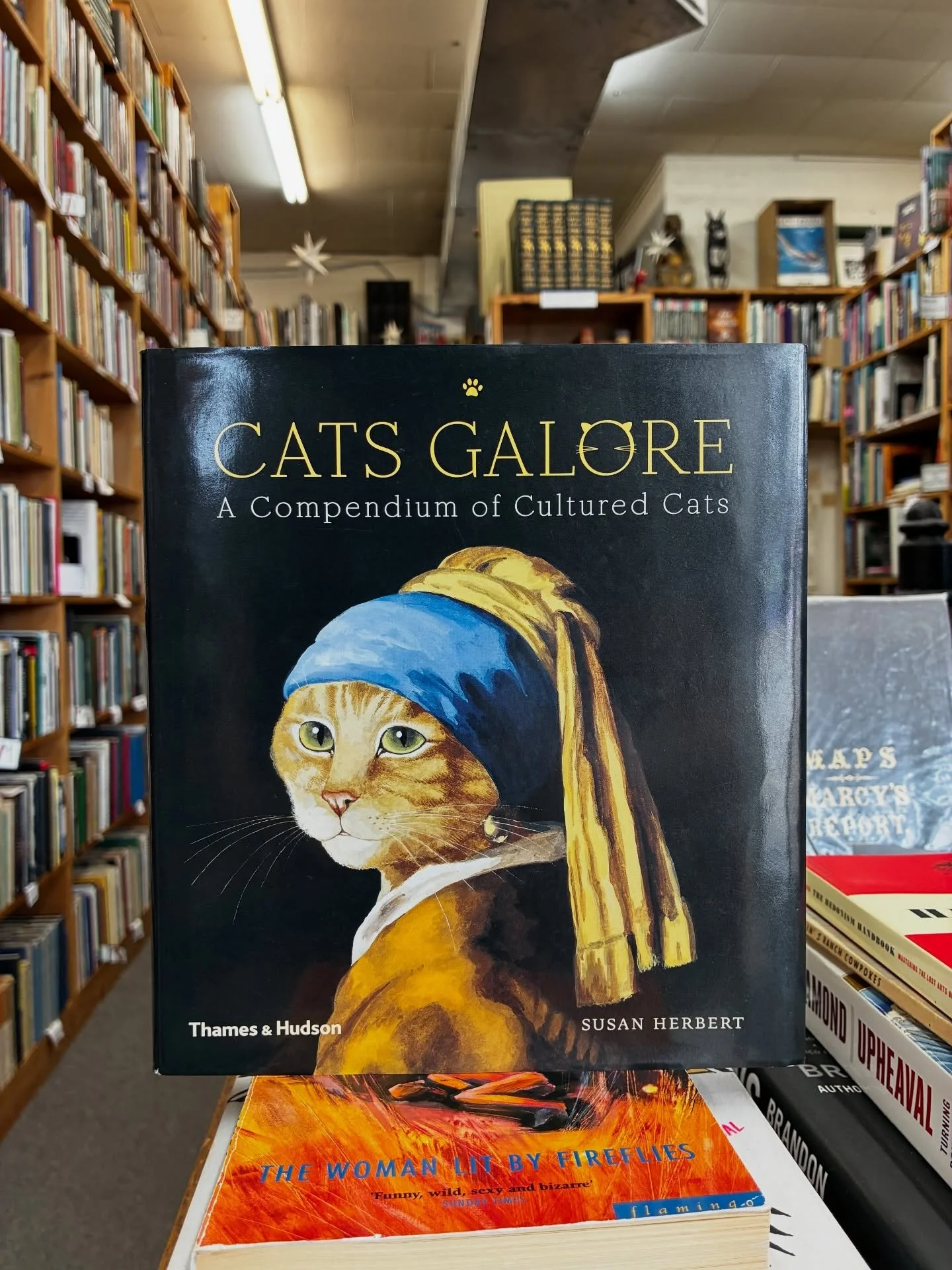 Cats Galore: A compendium of Cultured Cats, $18.50 Hardcover. Call or drop by to buy