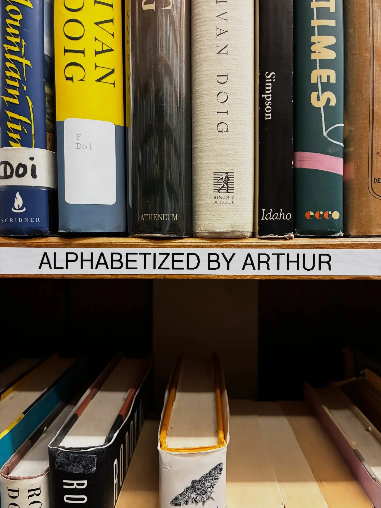 Starting today, April 1st, 2026, instead of alphabetizing our shelves by author, all of our books will now be alphabetized by Arthur. He has devised a somewhat unorthodox alternative order for the alphabet that we think y&rsquo;all will really like. 