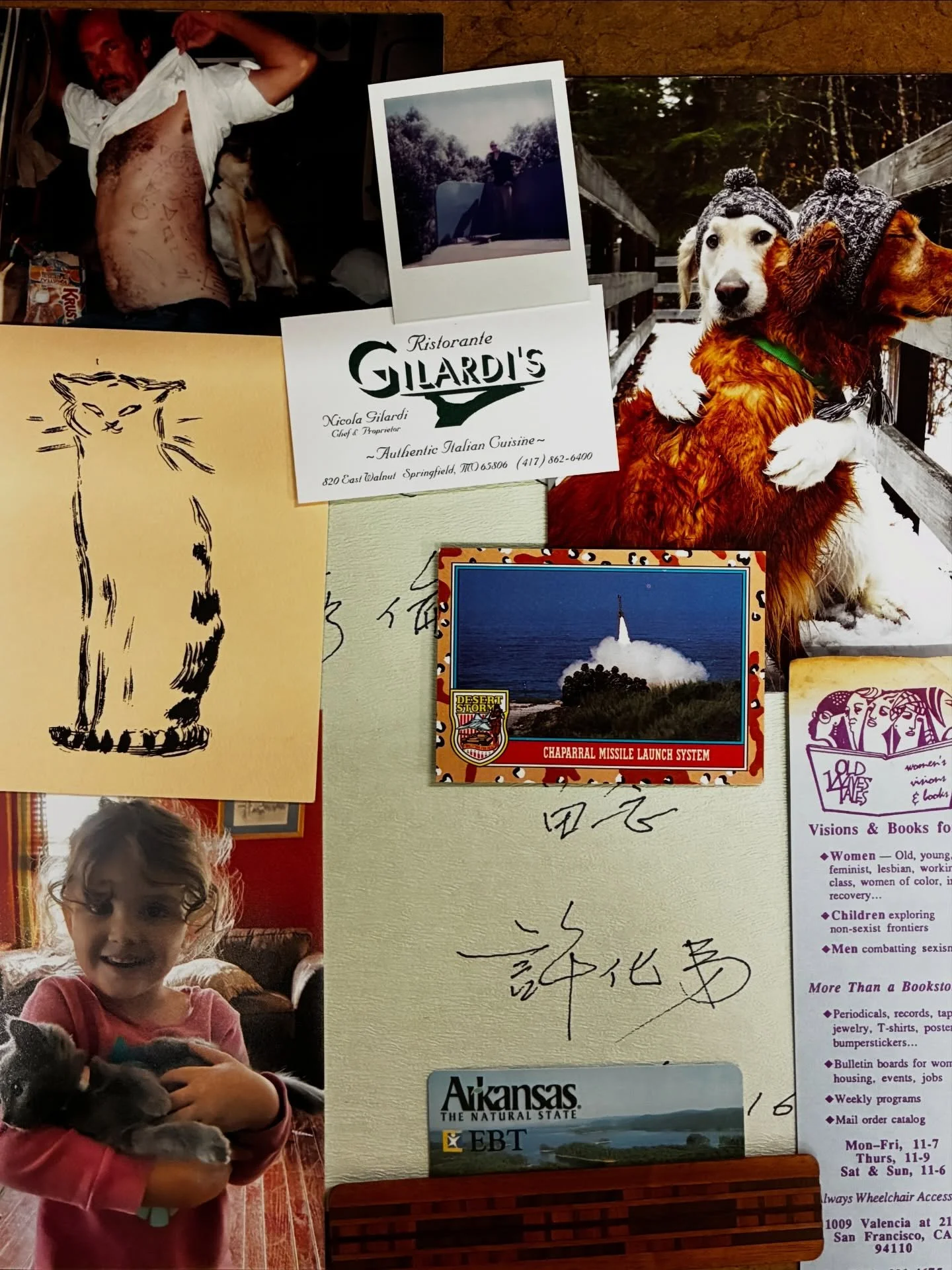 Things found in books this week: cats, feminist bookshops, skateboarding, sharpie tattoos, ebt cards, etc