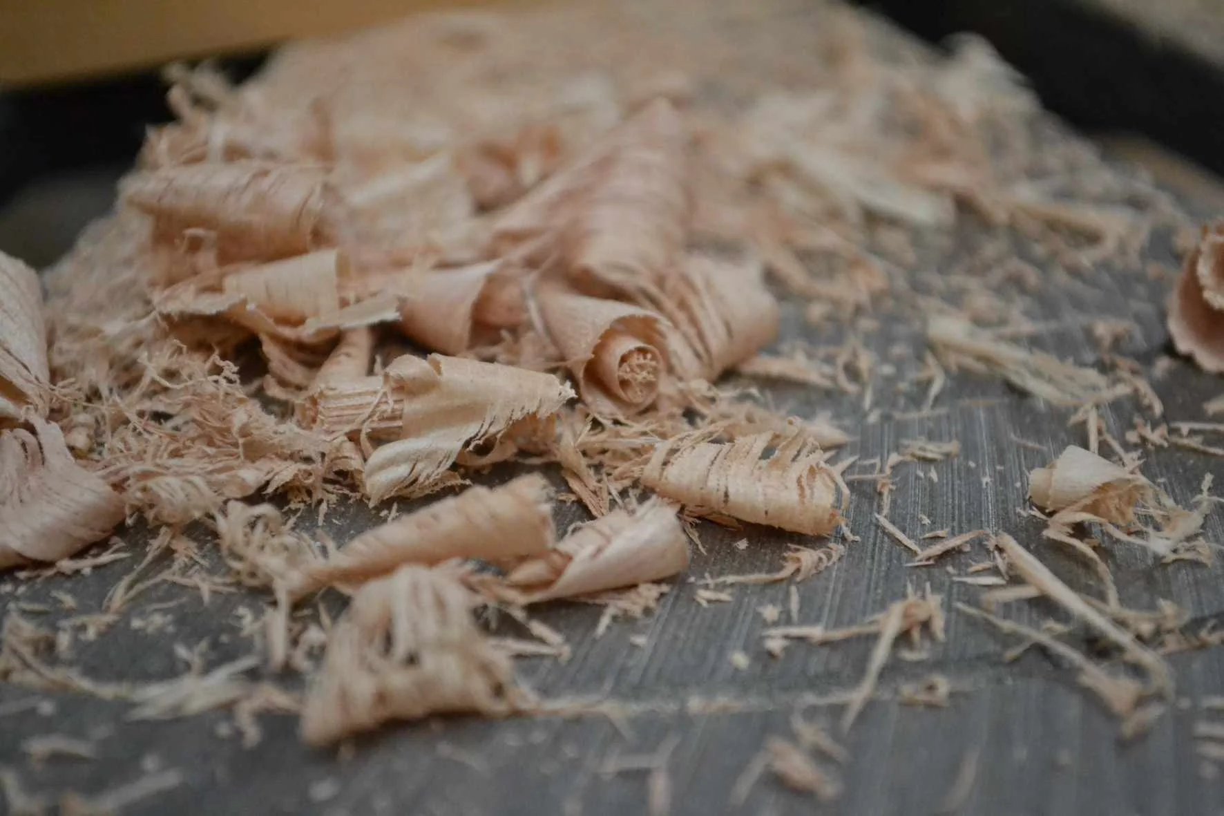 squarepeg-wood-shavings-small.jpg