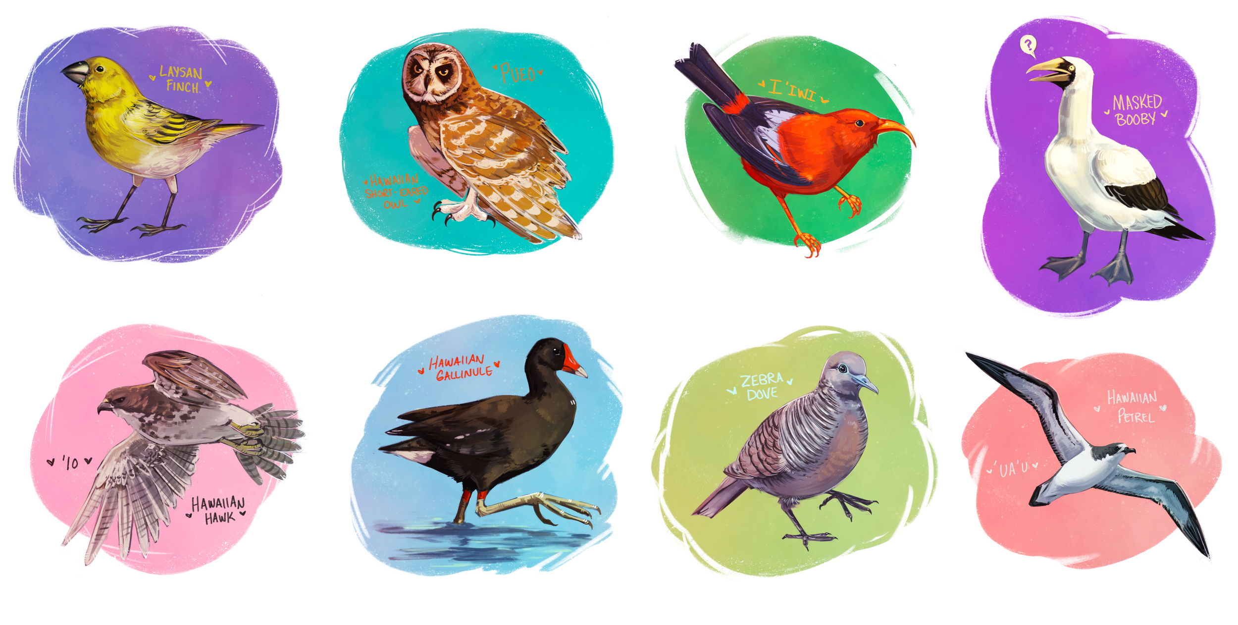 hawaiianbirds.png