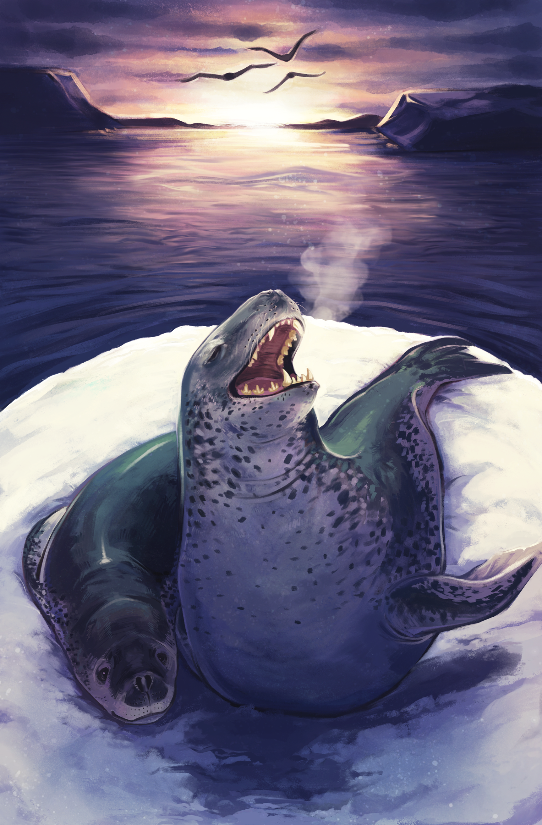 eliseillu_LeopardSeal.png