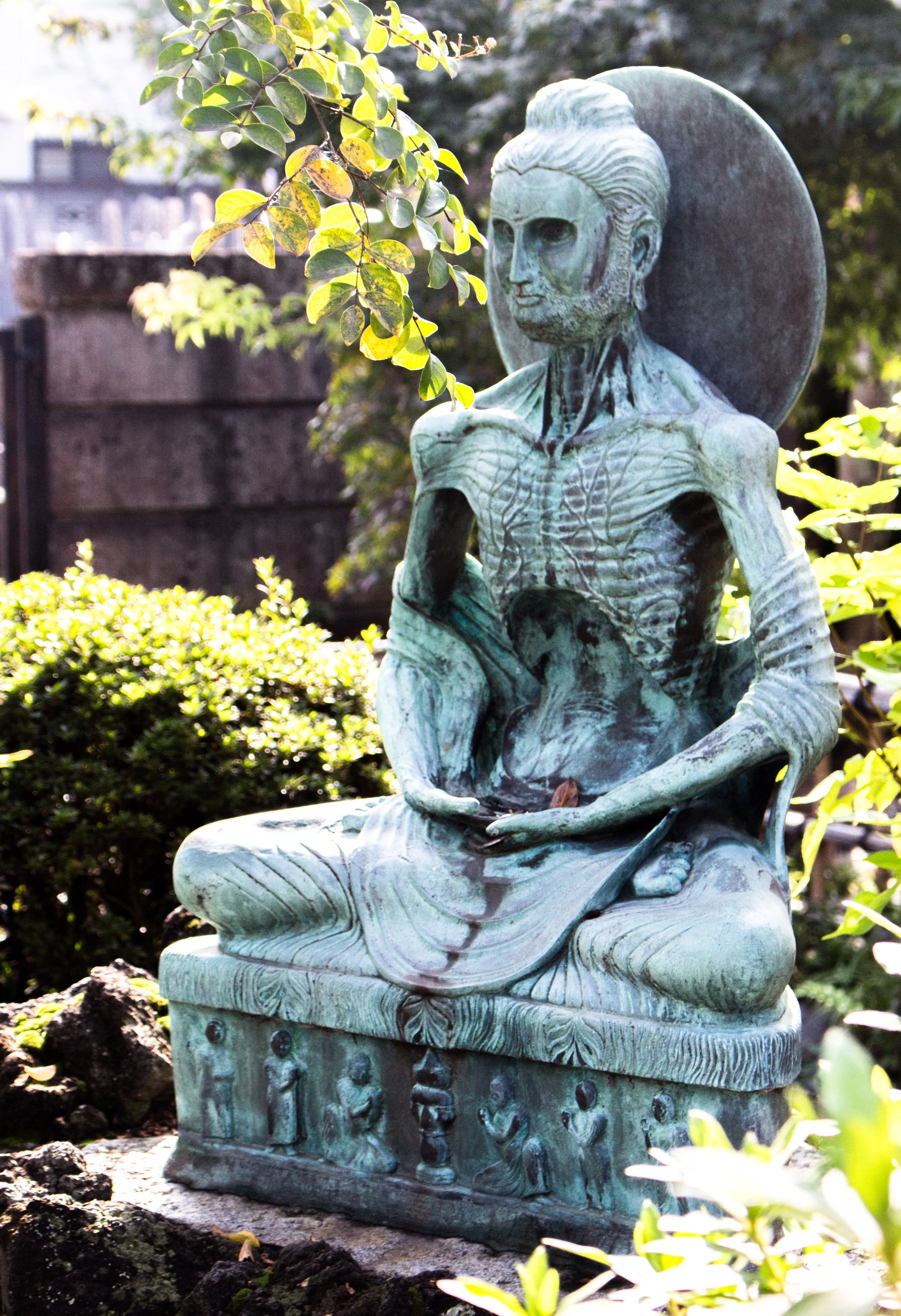 The Power of Fasting