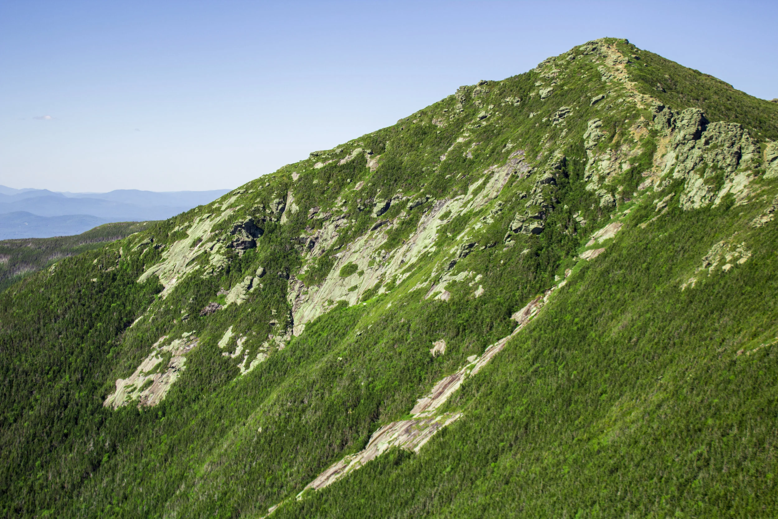 Recovery Management: Traps Five thru Eight