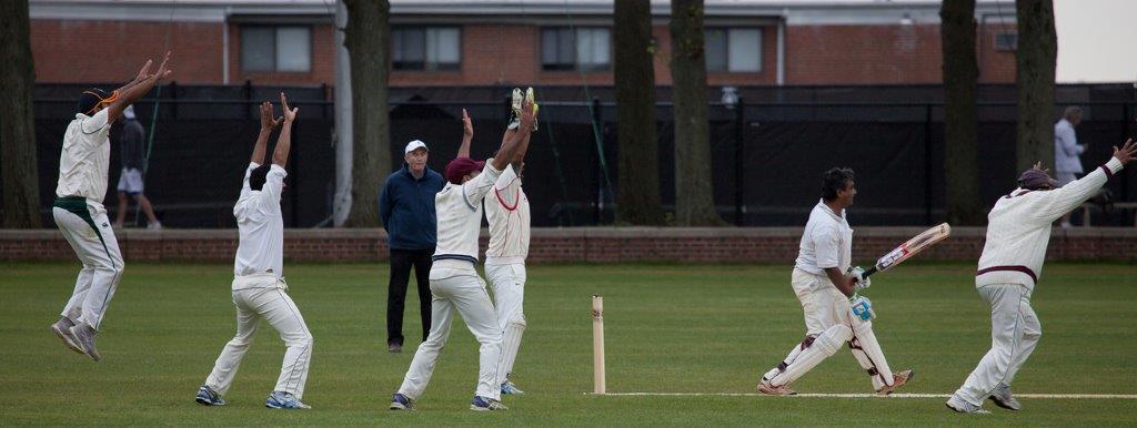 Fielders jump with hands in the air and scream “Howzat!” to the umpire after the ball hits the batsman on one of his padded legs. (Photo courtesy of the C. C. Morris Cricket Library Association.)