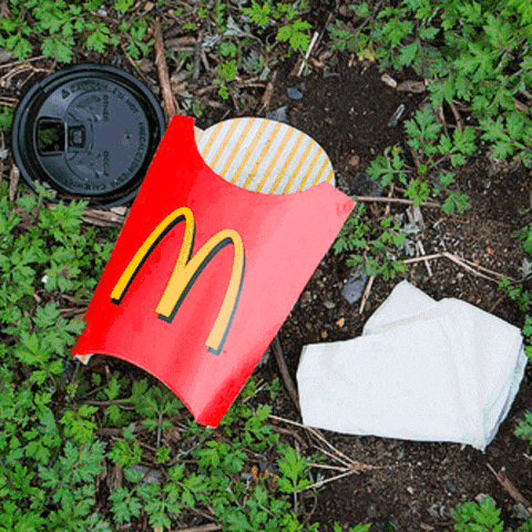 Gif Maker für Cases (13).gif