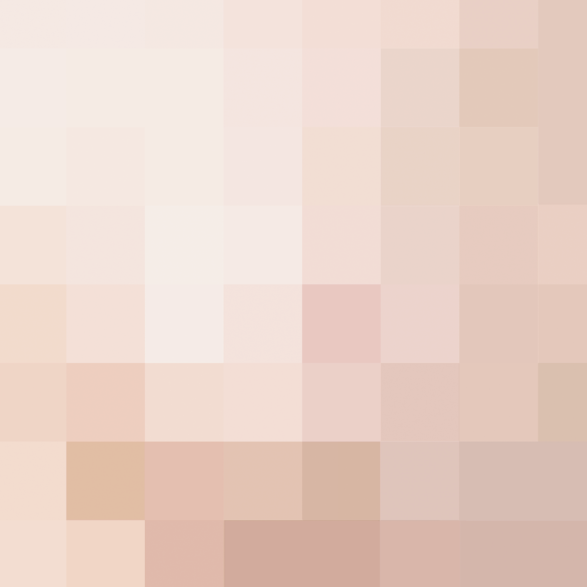 Bikini Set Procelain.png