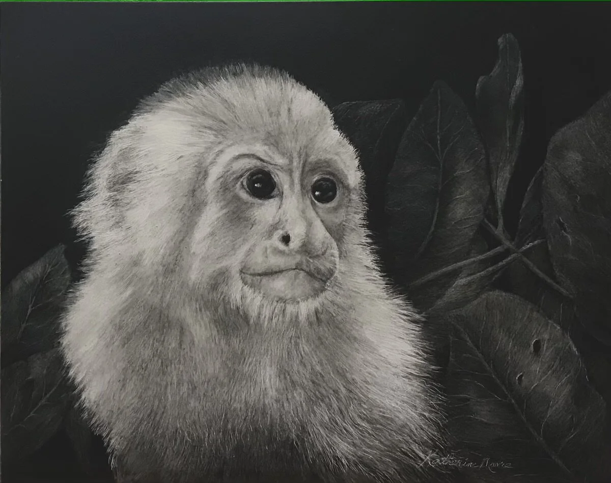 Scratchboard — Katherine Moore Fine Art