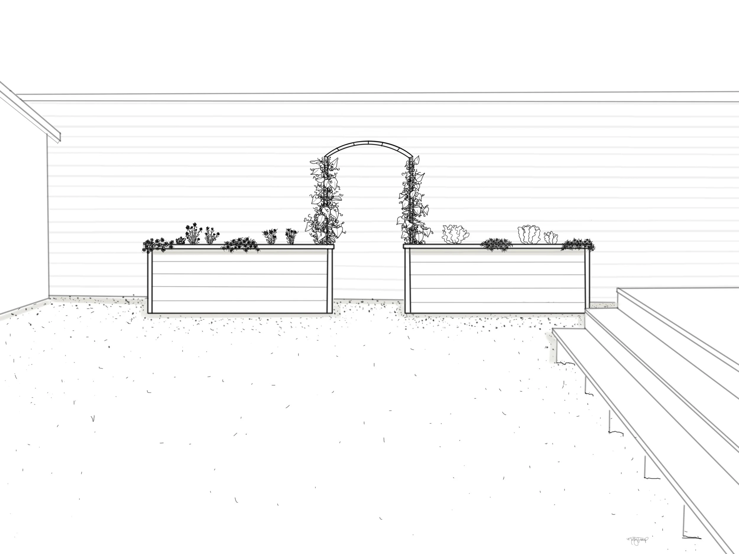 DIetz - Rooted Garden.jpg