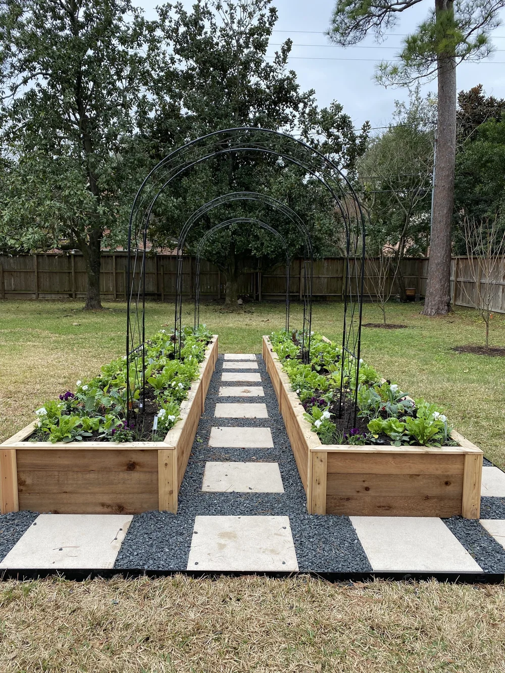 houston texas flower bed ideas Detailed Account Stills Gallery