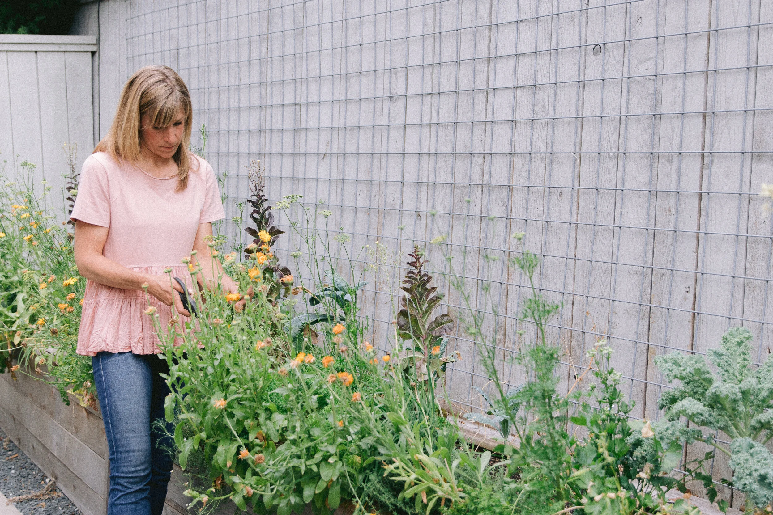 Growing edible flowers in Houston raised kitchen gardens — Rooted Garden