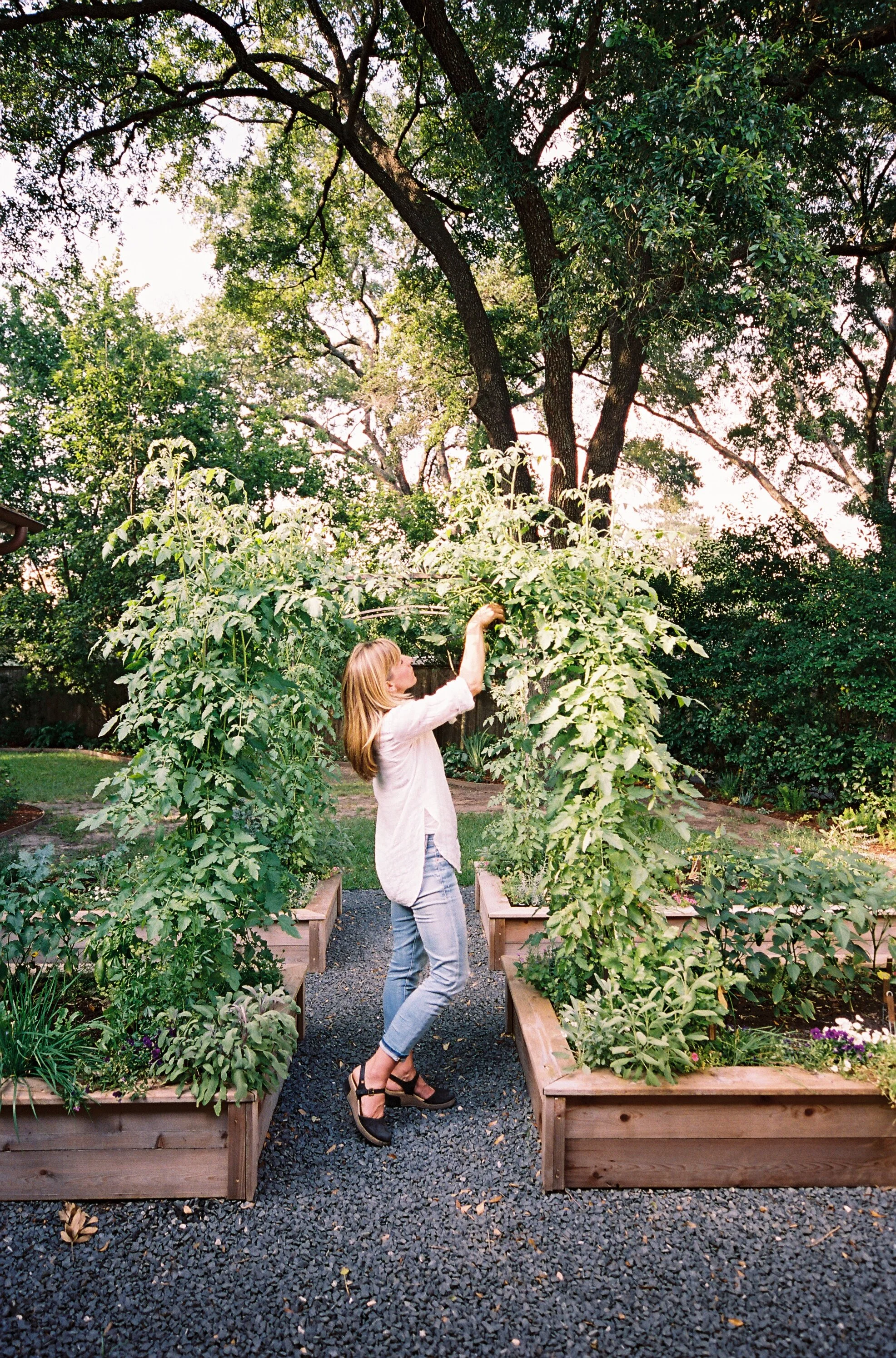 prefab raised garden beds on Houstonkitchengarden