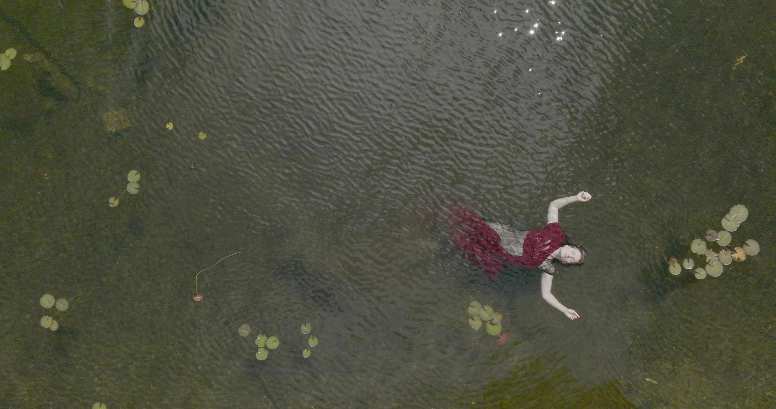 Screen Shot 2025-01-07 at 1.52.02 PM.jpeg