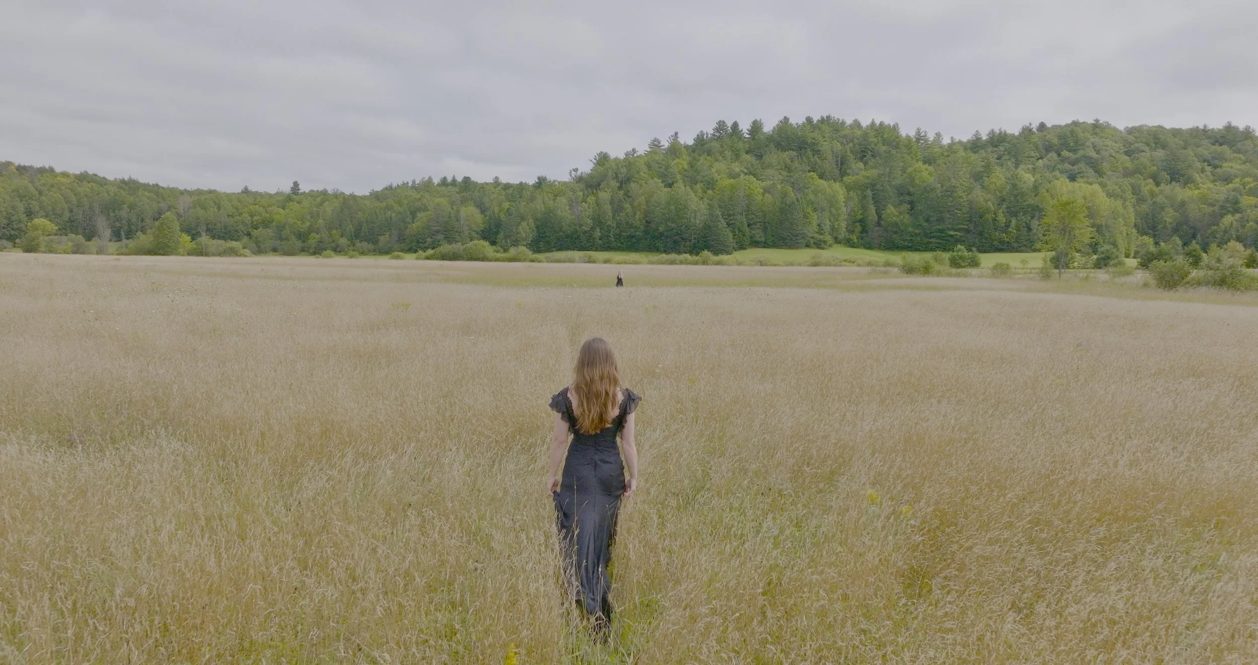 Screen Shot 2025-01-07 at 1.47.17 PM.jpeg