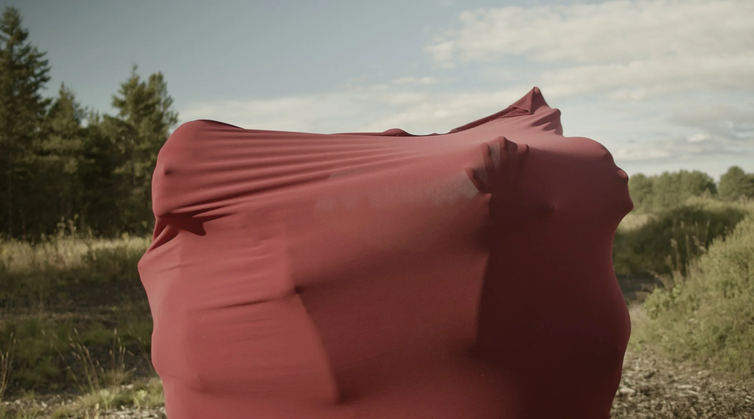 Screen Shot 2025-01-07 at 2.30.38 PM.jpeg