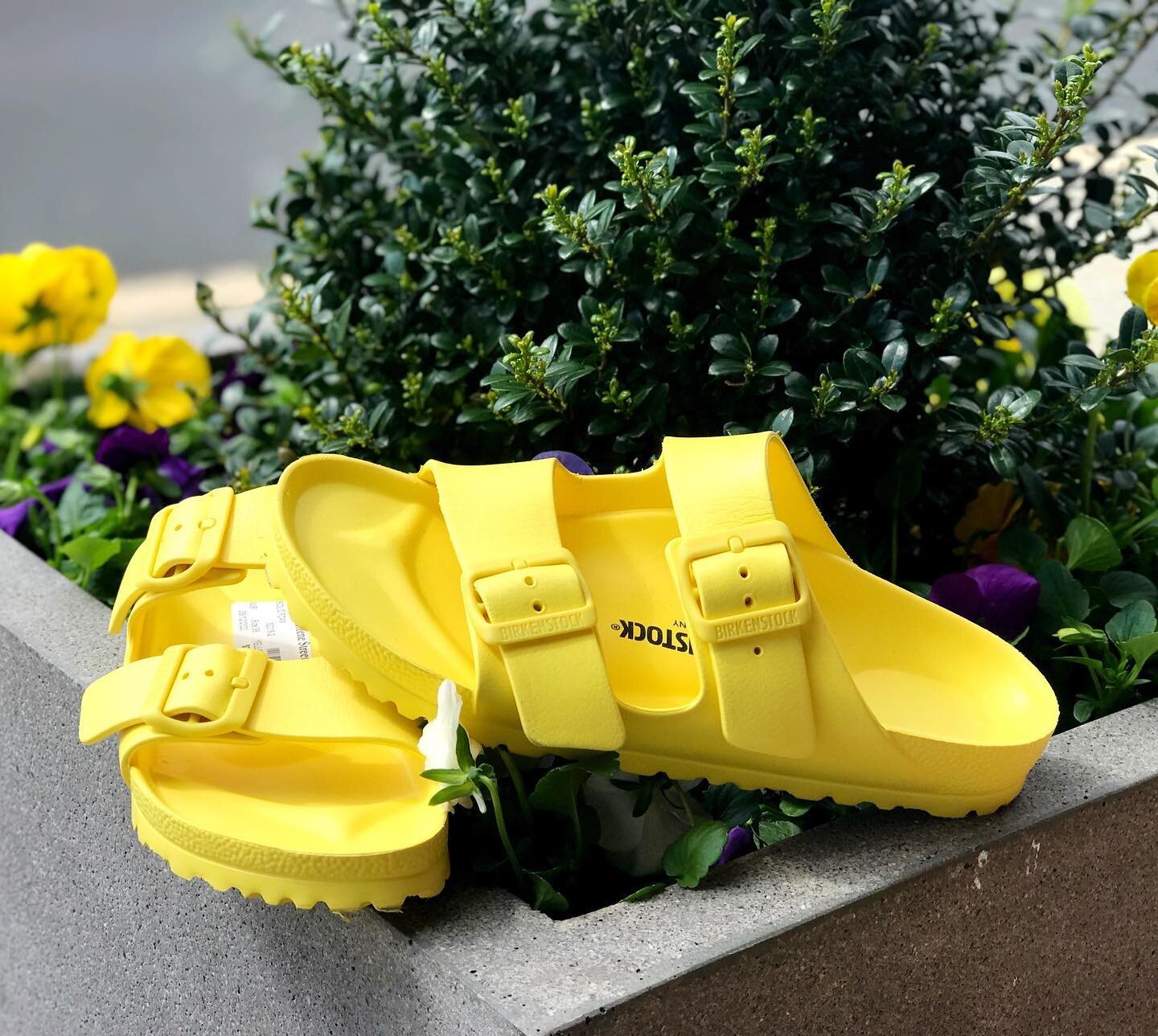 We 💛 Birkenstocks! 🩴 Scoop up this pair of Arizona EVA sandals available at @greenestreetsnyder for $24.95, size 38
⠀⠀⠀⠀⠀⠀⠀⠀⠀
For inquiries call or email us!
📞267-807-1295 
📧snyder@greenestreet.com