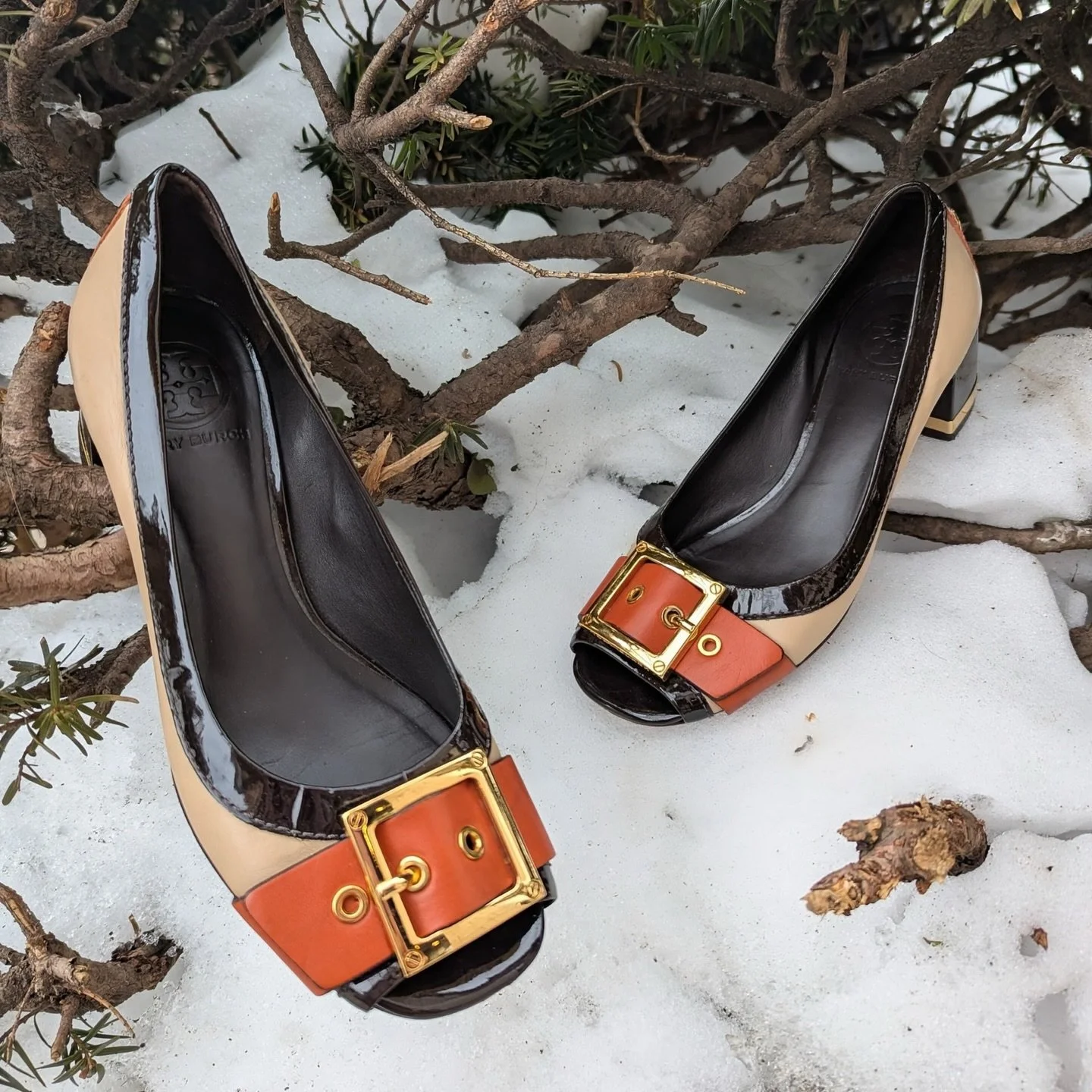 We&rsquo;re loving these cute colorblock heels from @greenestreetprinceton

Tory Burch 
Size 7 $58.95

Call or email us for inquiries!
📞609-924-1997
📧princeton@greenestreet.com