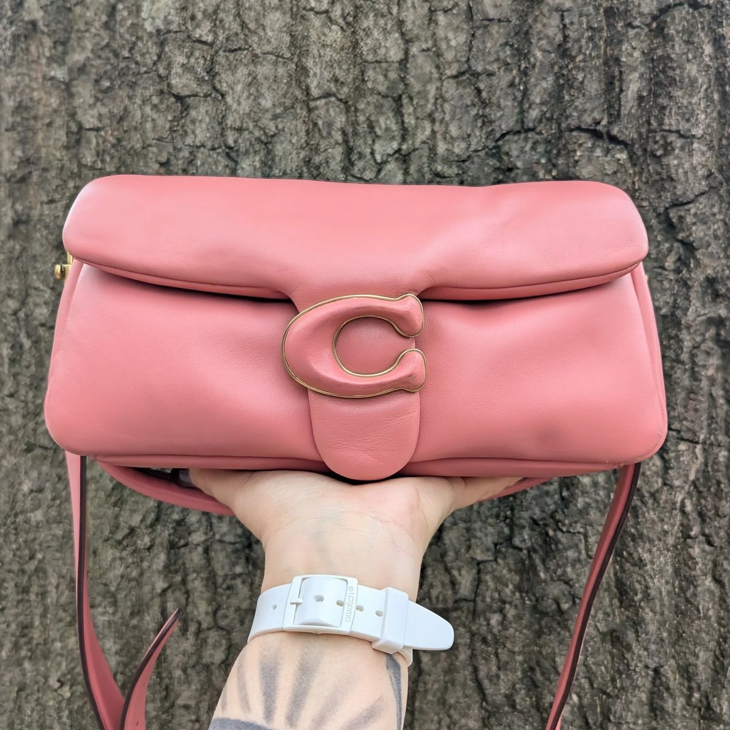 We&rsquo;re loving this pink pillow tabby beauty! 🌸Available at @greenestreetprinceton 

$200.95

Email us for inquiries!
📧princeton@greenestreet.com