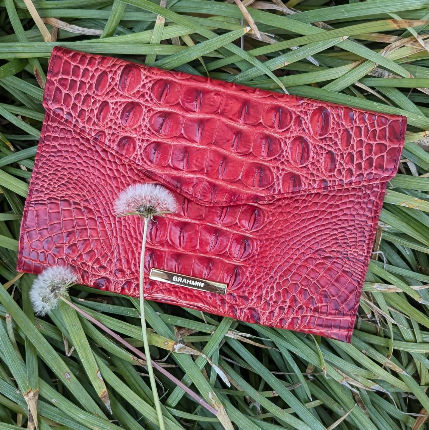 Add a pop of color to our look with this Brahmin clutch! Available at @greenestreetprinceton

$65.95

Email us for inquiries
📧princeton@greenestreet.com