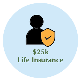$25k life insurance icon
