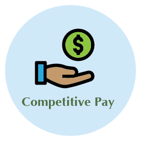 Competitive pay icon