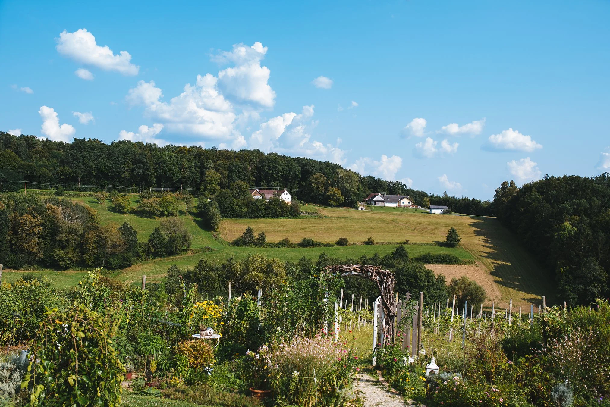 Hochzeit-Traeumerei-1.jpg