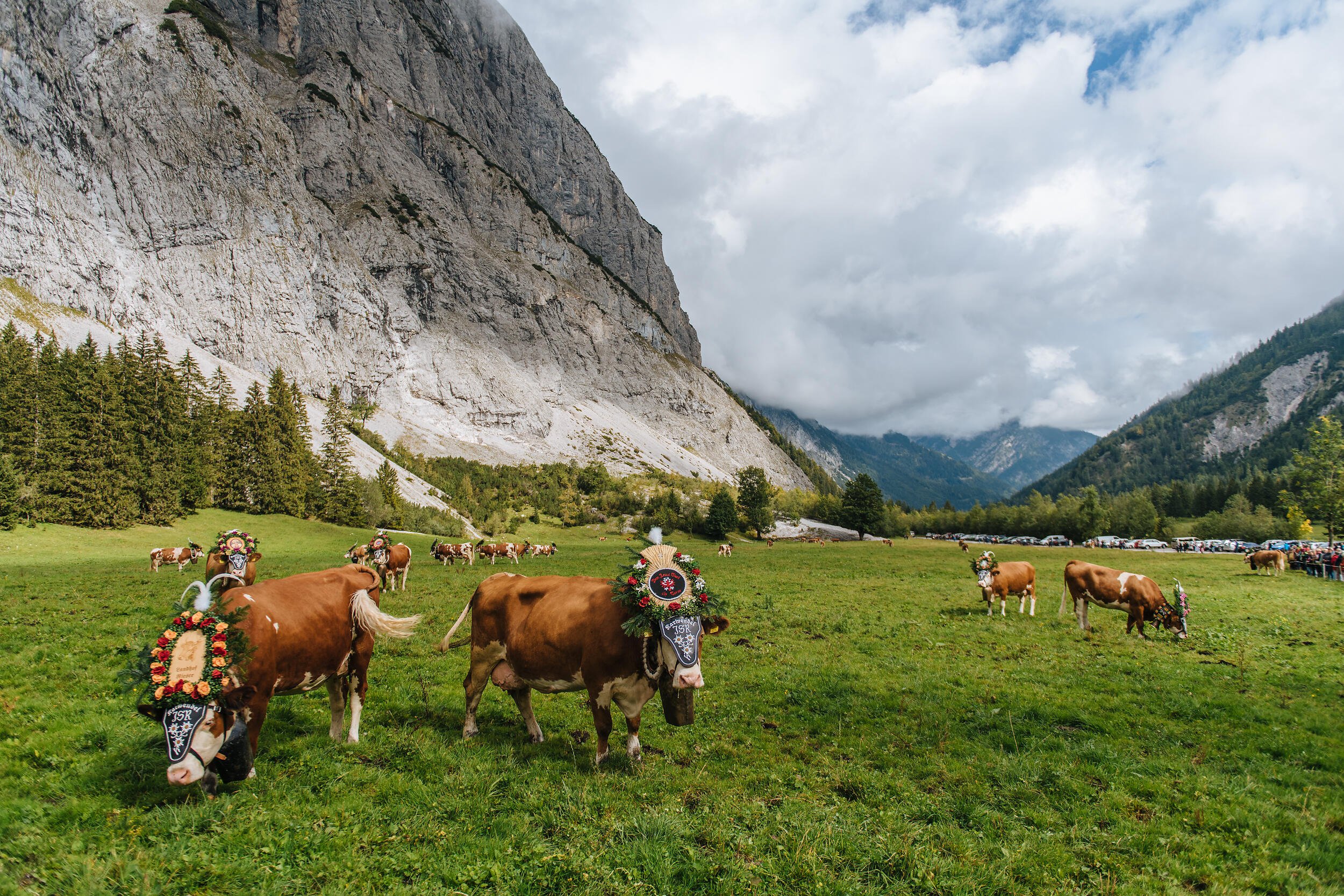 Almabtrieb-Achensee-Gramai-Alm-40.jpg