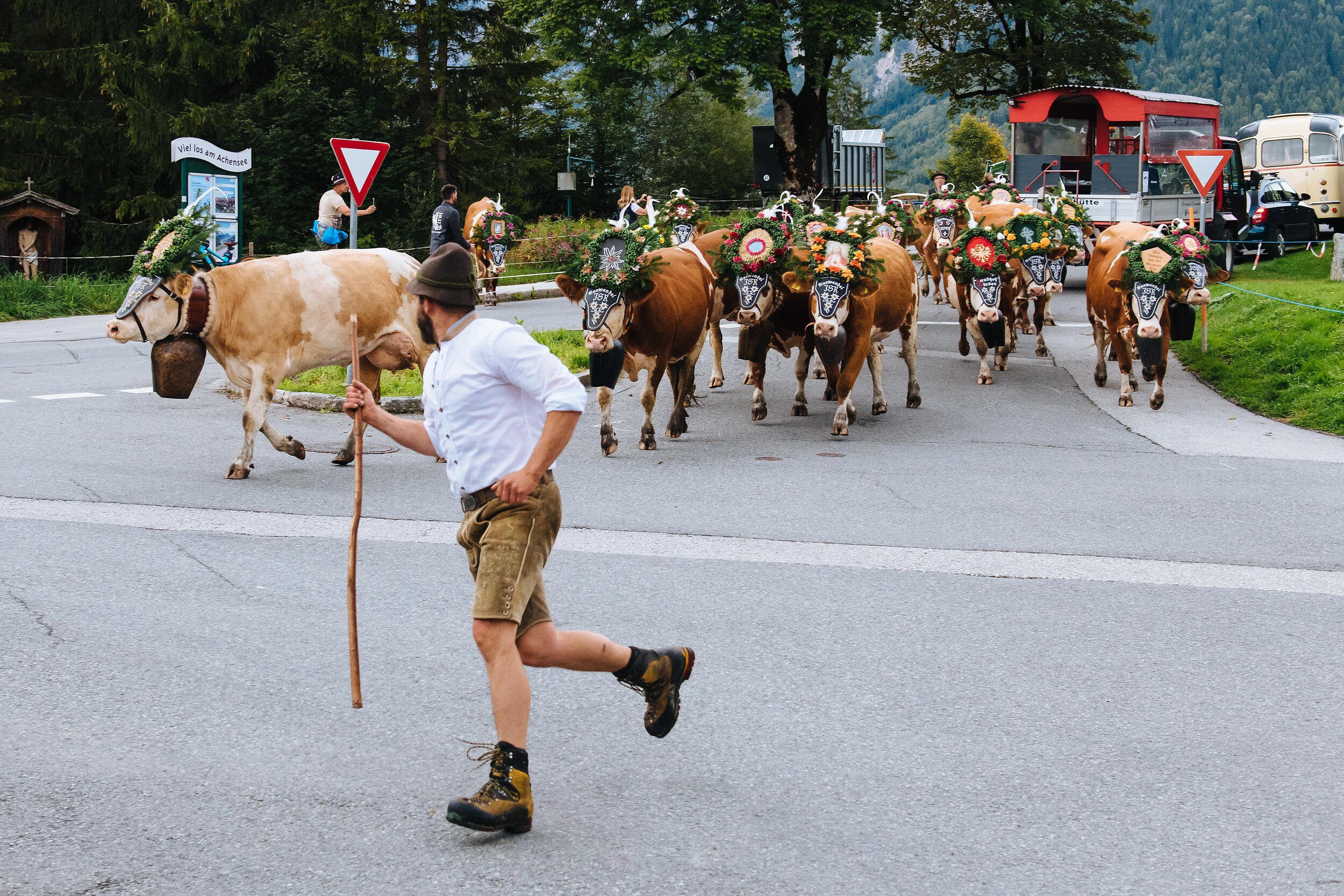 Almabtrieb-Achensee-Gramai-Alm-53.jpg