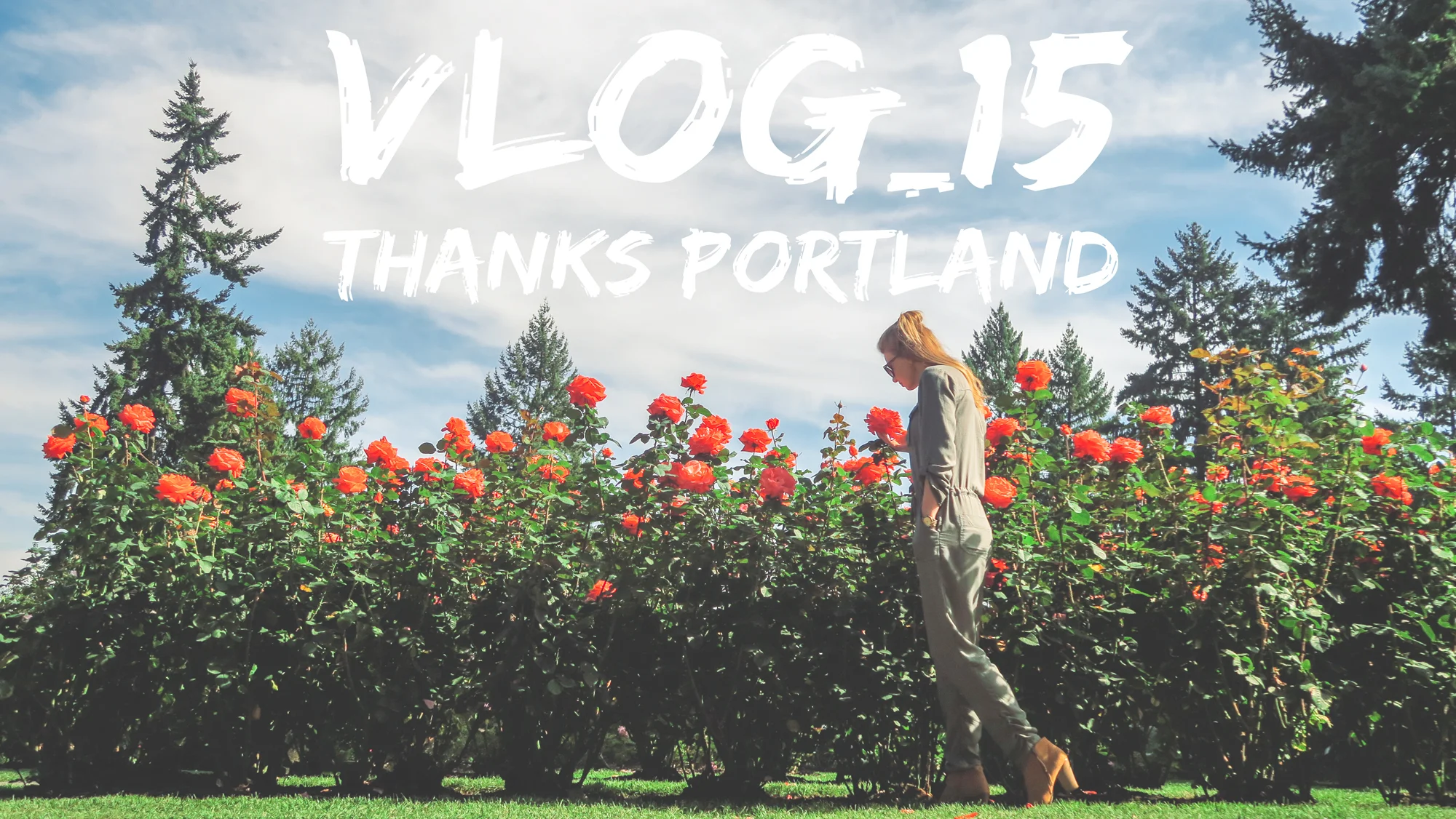 Shearer-Photo-Video-Portland-3525-Edit.jpg