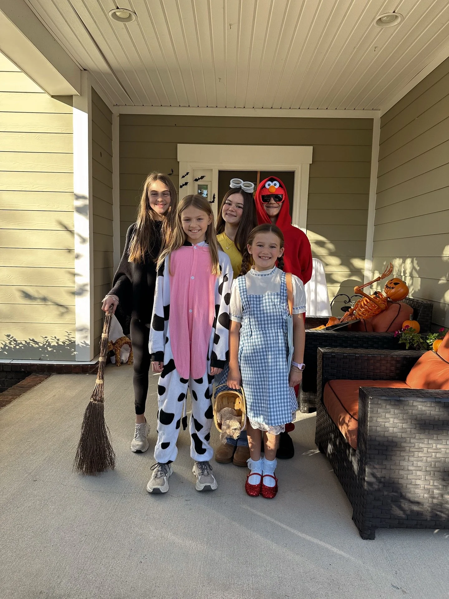 Elmo ❤️ a minion 💛 &amp; Dorothy Gale 💙