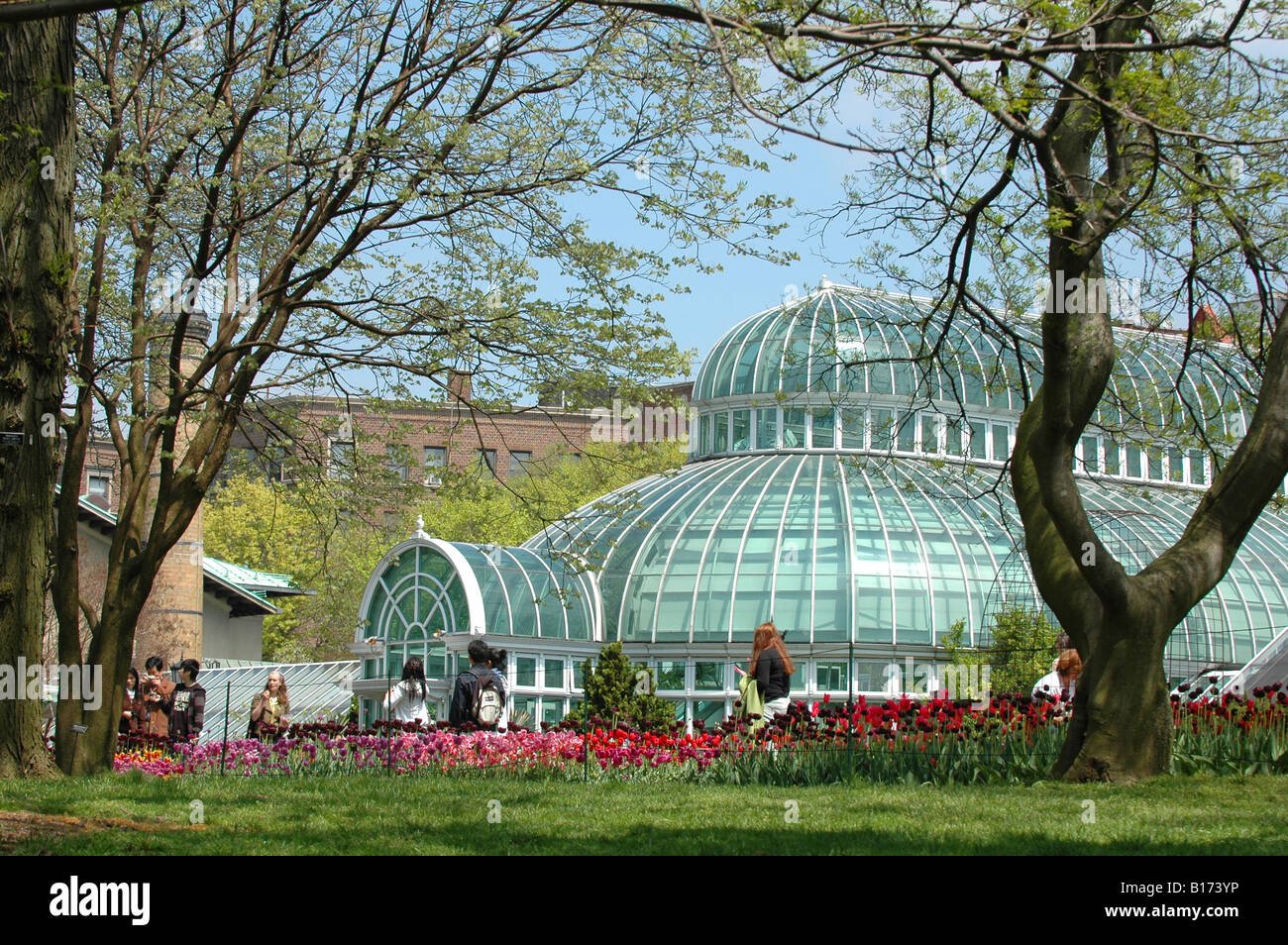 Classes at the Brooklyn Botanic Garden