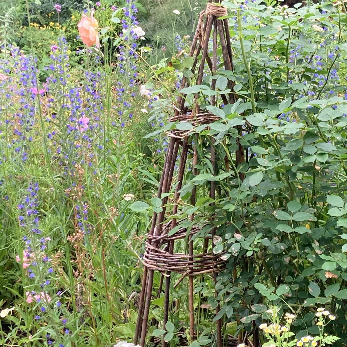 A Midsummer Afternoon Walk in the Shakespeare Garden