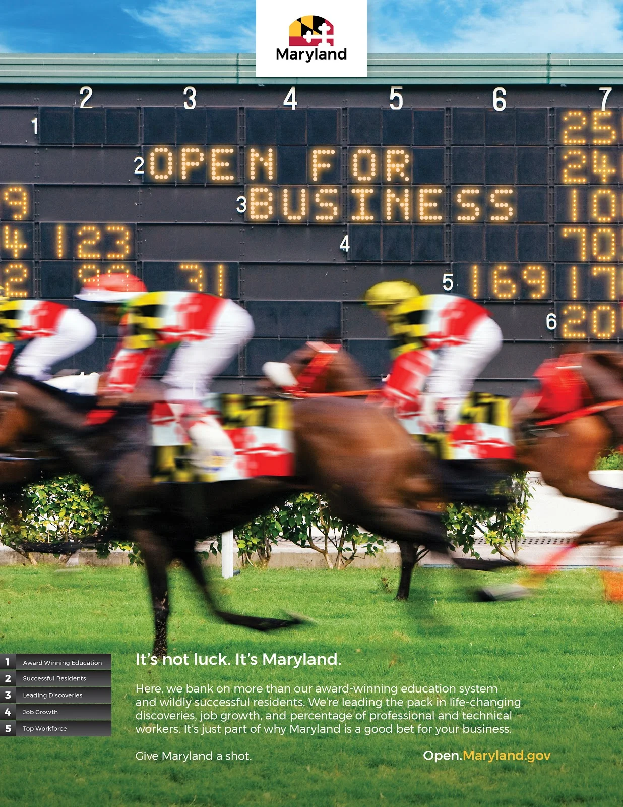 OFB_horse.jpg