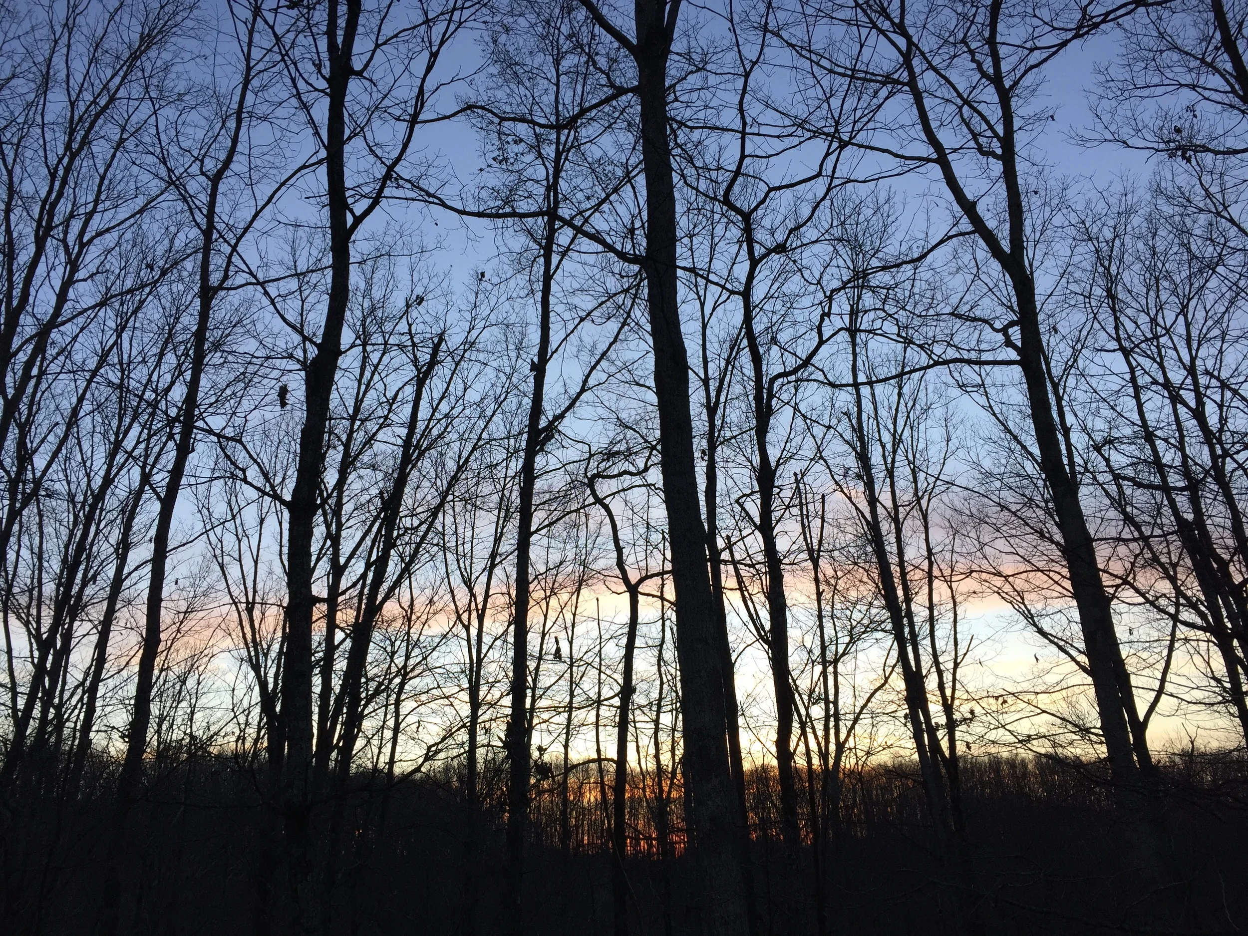 What Happens When You Quit Facebook