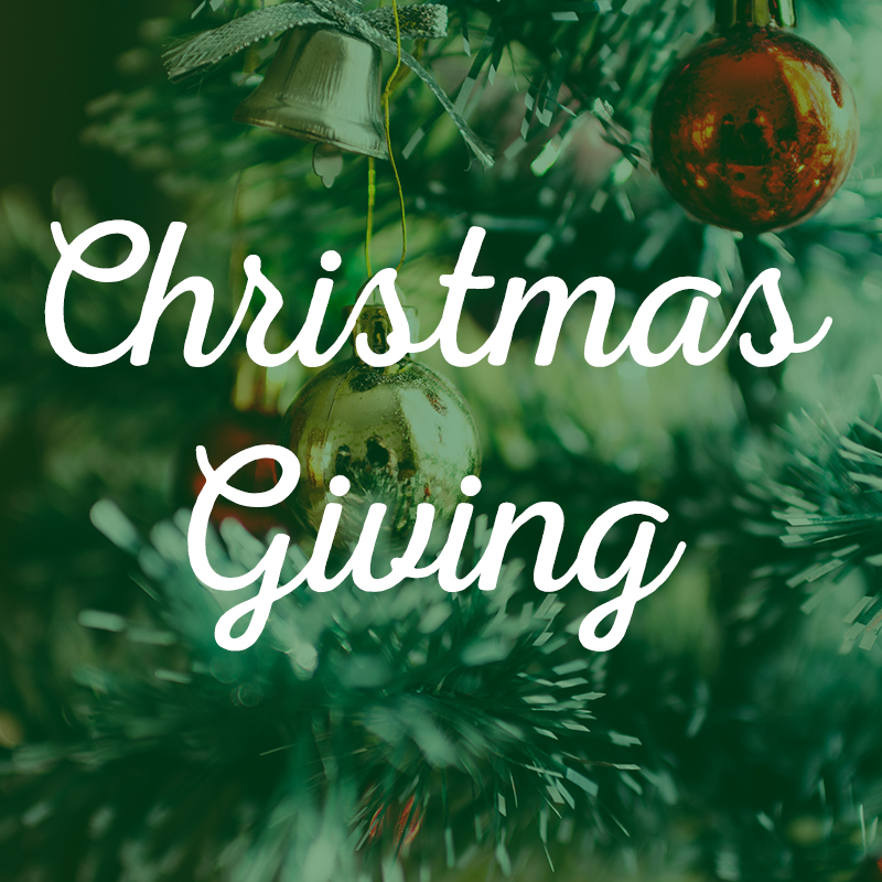 Display a tree in your church with ornaments requesting gifts for individual foster children. Attendees choose an ornament, purchase a gift described on the ornament, and return the gift unwrapped for the child.