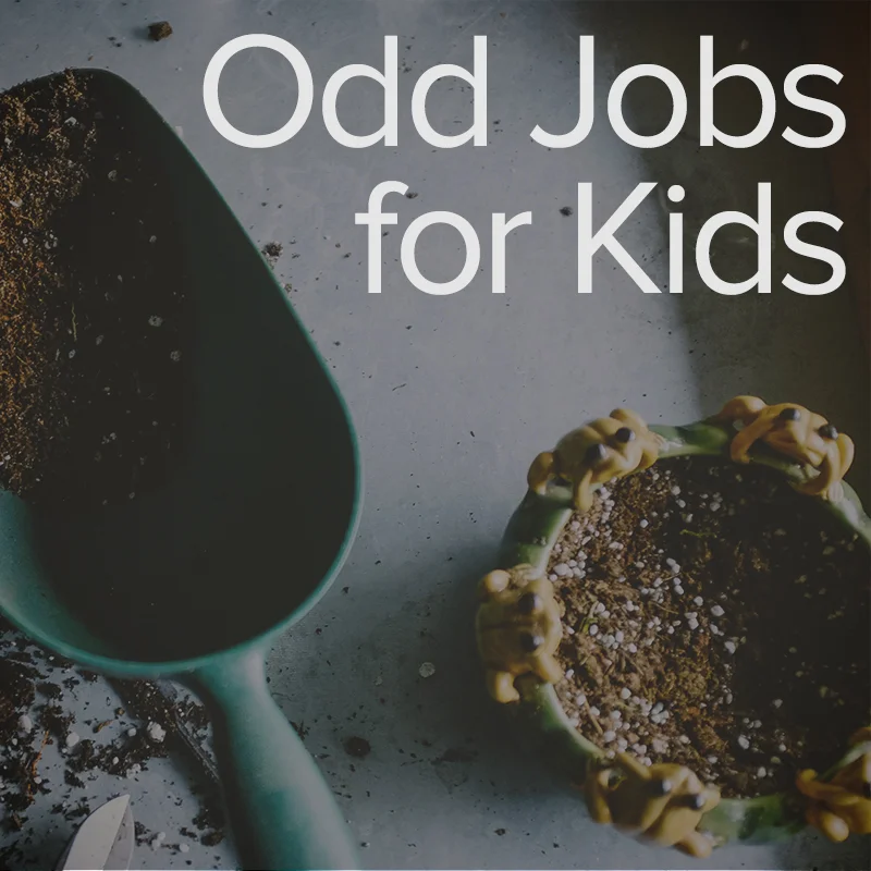 Connect families with simple wage-earning jobs with foster kids to help them develop strong work skills.