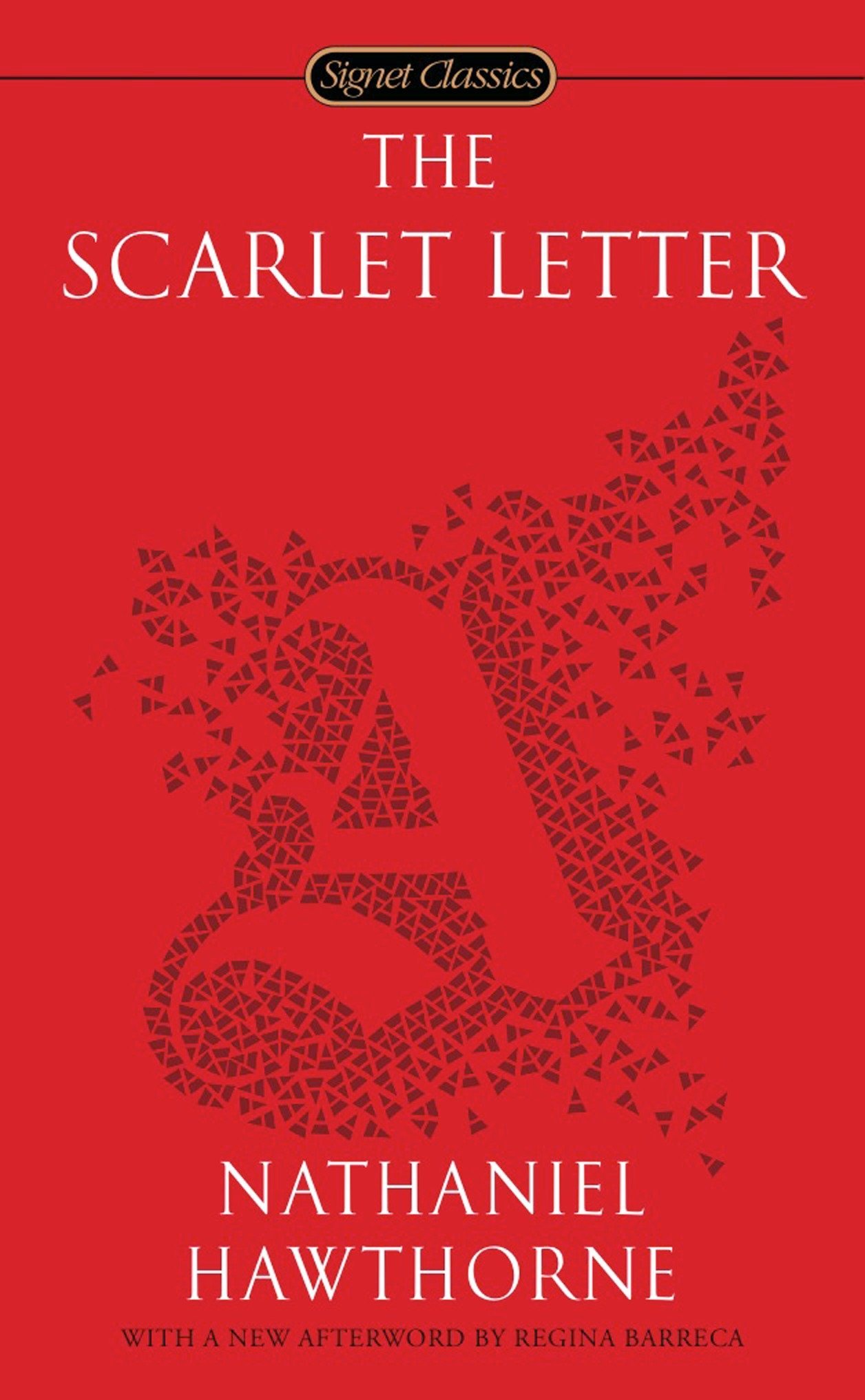 conflict in the scarlet letter