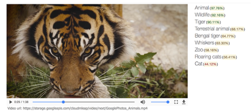 Chapter 5 Figure 59: Google Video Intelligence service recognises a Tiger in a view. Source: Google - https://cloud.google.com/video-intelligence/